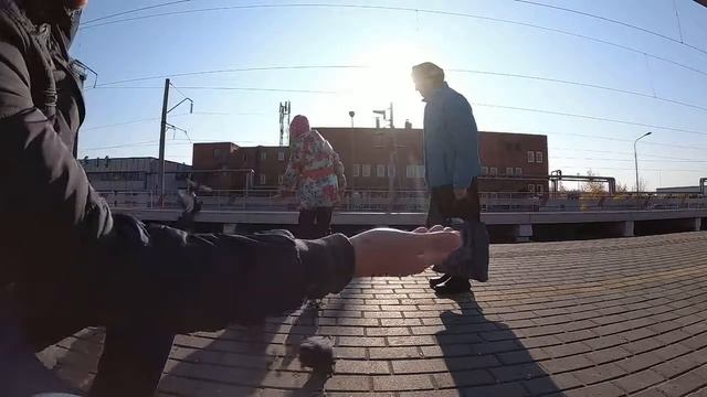 Птицы, которые ничего не боятся смотреть онлайн