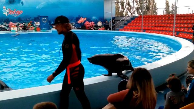 Дельфинарий Генгорка часть 5 смотреть онлайн