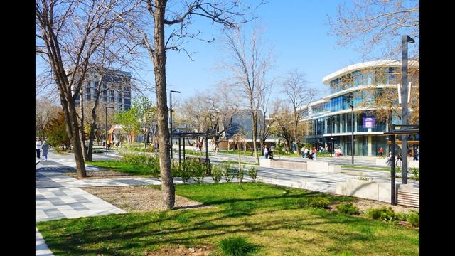 Переезжаем на юг. Новороссийск. АН ФРЕГАТ