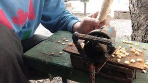 Ручная кукурузолущилка