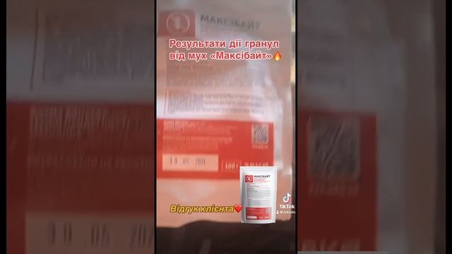 Топ засіб від мух🔥 #мухи #свині #свинарник #мошка #свинарство смотреть онлайн