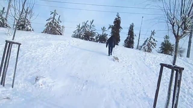 ура зима  видео как мы с папой катались на санках круто