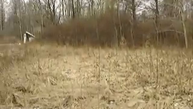 Второй улей