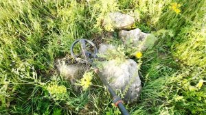 Приехал за металлоломом в поле, а нашел клад под грудой камней