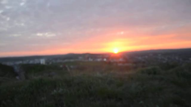 Белые цветы Митридата