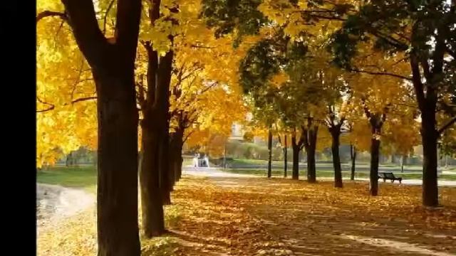 Наша планета  Осенние пейзажи  4