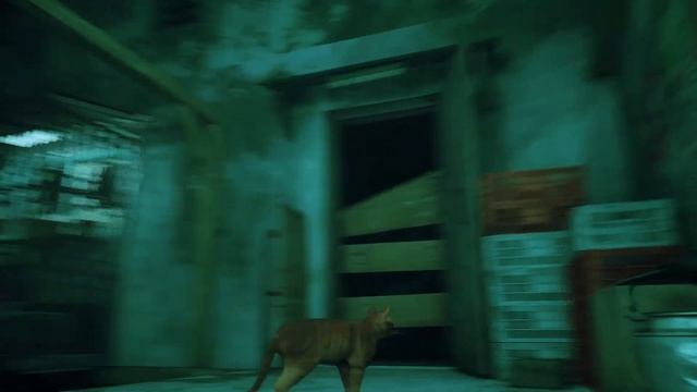 Stray - Dead City смотреть онлайн