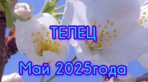 ТЕЛЕЦ ♉ Расклад Таро на май 2025 года