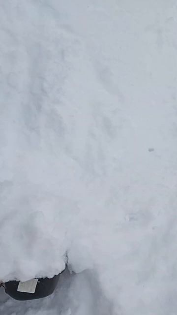 СНЕГА НАВАЛИЛОСЬ, ВТОРНИК; | ⟨06.12.2022⟩ | 14:41