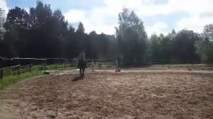Верховая езда.