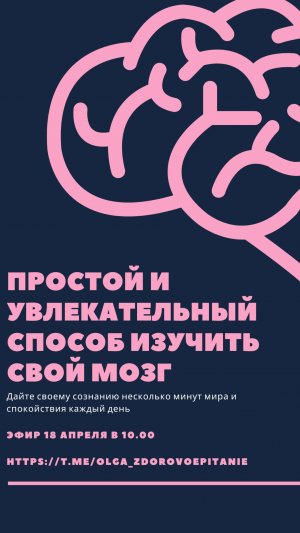 Эфир Простой и увлекательный способ изучить свой мозг