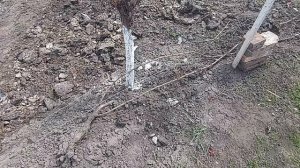 Открытие виноградника 12.04.2025