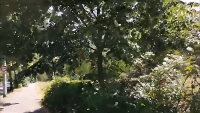 липовый полдень смотреть онлайн