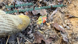 В корнях деревьев показался желтый металл, украшенный камнями.