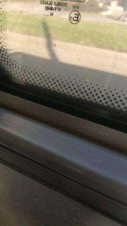 АВТОБУСЫ ПИТЕРА