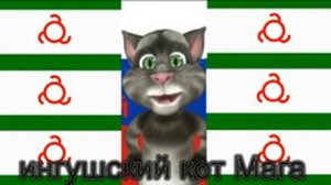 ингушский кот мага ингушский кот