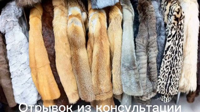 10 марта 2023 г. Эго. Как работать с программой Эго через логику и ум