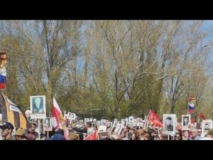 9 МАЯ ТОЛЬЯТТИ LIVE: БЕССМЕРТНЫЙ ПОЛК У ДВОРЦА СПОРТА ЗАВЕРШИЛОСЬ ШЕСТВИЕ-RUTUBE
