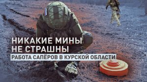 Найти и обезвредить: как российские сапёры расчищают путь для наступления ВС РФ в Курской области