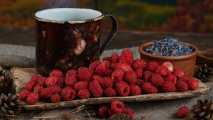 ПОЛЕЗНО И ВКУСНО | ПОЛЕВАЯ СУШЕНАЯ КЛУБНИКА от «Медвежьей Лавки»