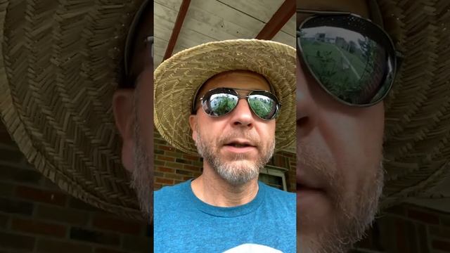 Blossom End Rot - Here’s My Garden смотреть онлайн