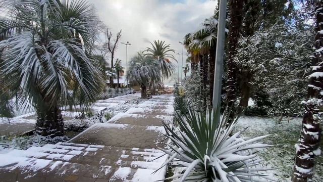 Чёрное море в снегу❄️ смотреть онлайн