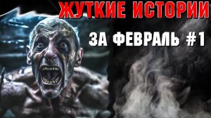 ЖУТКИЕ ИСТОРИИ ЗА ФЕВРАЛЬ 2024. Страшные истории на ночь. Страшилки на ночь.
