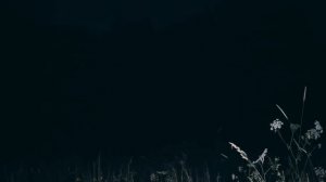 САМОЕ СТРАШНОЕ БОЛОТО В МИРЕ The scariest swamp IN THE WORLD (Перезалив с переводом)