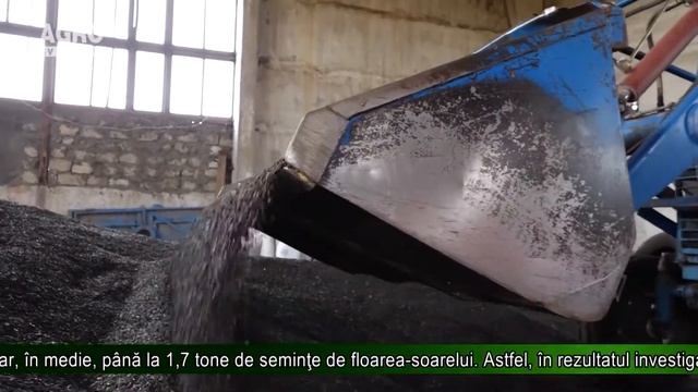 Prognoza roadei medii de seminţe de floarea soarelui