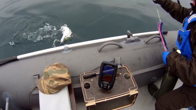 Троллинг Симы в Приморском крае 2024. смотреть онлайн