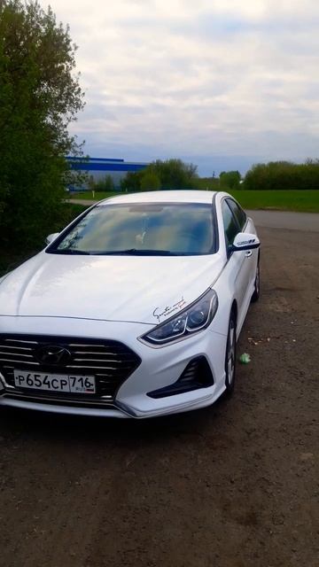 #машины #тачки #белая #акула #шортс #татарстан смотреть онлайн