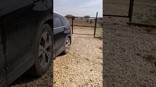 1000051245.mp4