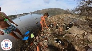 ПЕРЕХОД НА ЯХТЕ из Турции в Грецию - СЕКРЕТНЫЙ ОСТРОВ тысячи кроликов и турецкие яхты на зимовке.