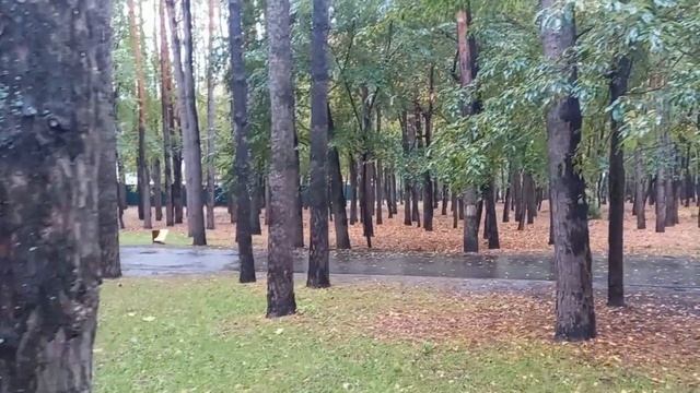 Александр Певчий - Осенний лист смотреть онлайн