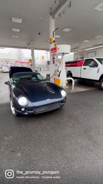 TVR “you thought I was normal?!?” смотреть онлайн