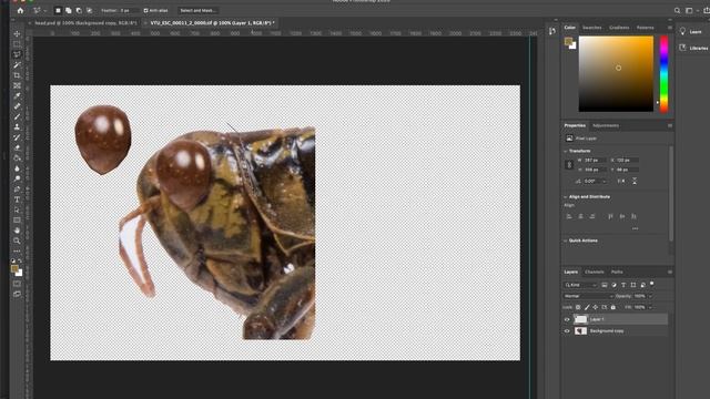 Grasshopper Substance Painter part 2 смотреть онлайн