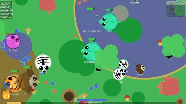 Mope.io - Dragging Animals Out of the Ocean with Snowy Owl!! + Why I'm Done Teaming (Mope.io Troll) смотреть онлайн