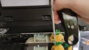 Нагревательный стержень для аквариума xiaomi.