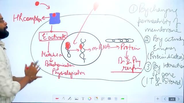 Mechanism of Hormone action Sahil Siddiqui