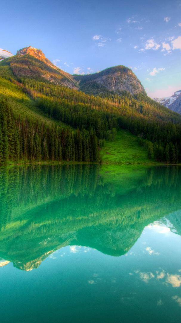 Driving in park смотреть онлайн