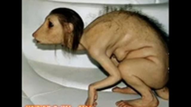 Обнаружено неизвестное существо!!! смотреть онлайн