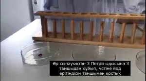 11класс.Биология."Активаторлар мен ингибиторлардың ферменттік реакцияның жылдамдығына әсері"