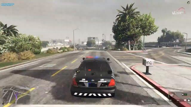 GTA V RP USA - LSPD FAZENDO AQUELA PTR