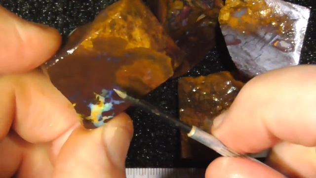 Koroit nut opal material from Queensland Australia - Ro1251 смотреть онлайн