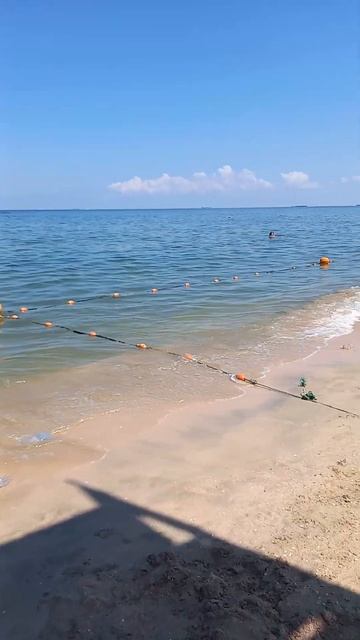 станица Голубицкая, Азовском море,август 2022 смотреть онлайн