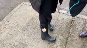 VLOG: посадили 30 тысяч деревьев в Цимлянске