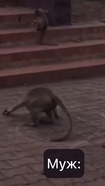 мужики,есть выход,берём на заметку