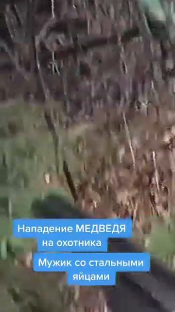 Нападение медведя на охотника