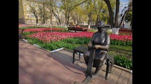 Белгород утопает в тюльпанах