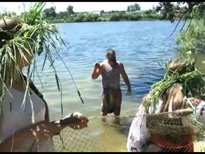 Репортаж Белгородского ТВ о фестивале Звенящие кедры 2014 (25.06.2014)